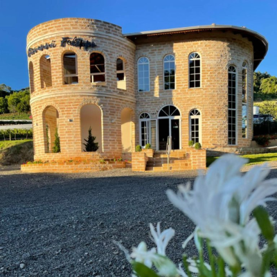 Design sem nome (16)