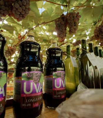 Experiencia na Colheita da Uva, Makhall 5, Pinheiro Preto