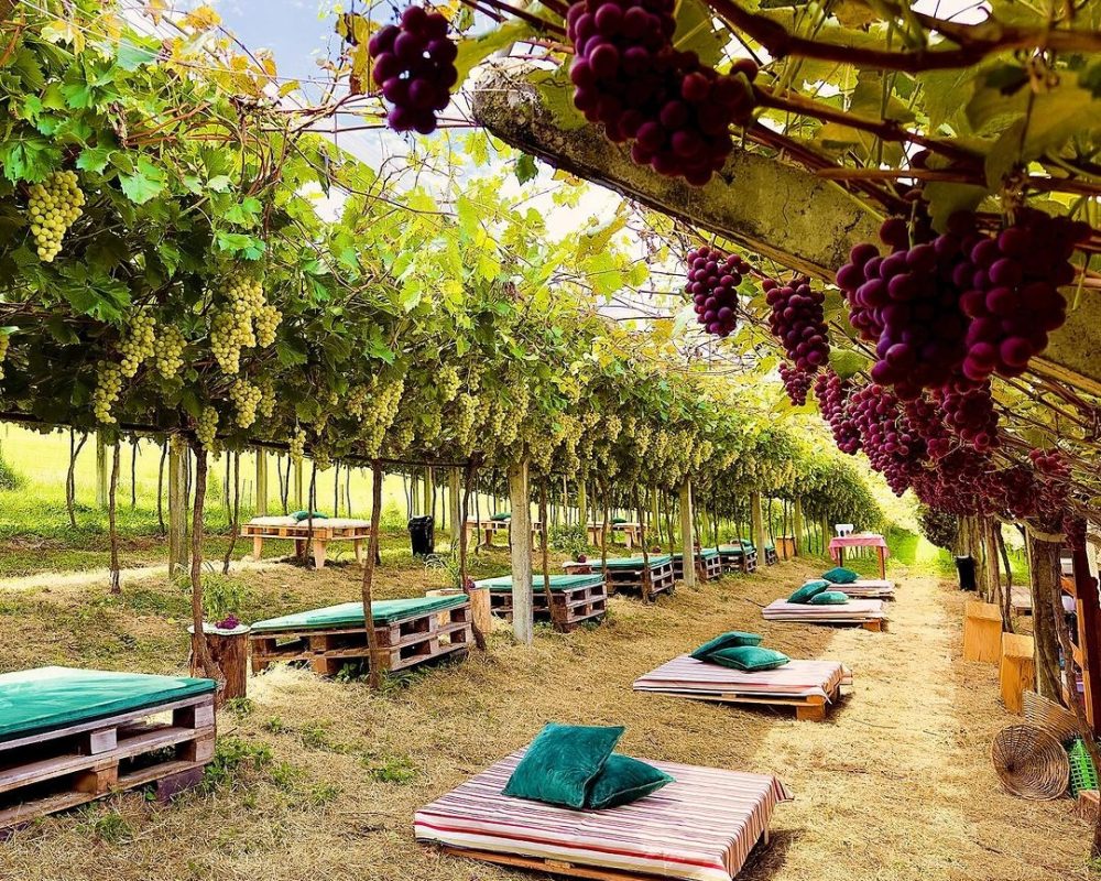 MAKHALL GASTRONOMIA 03