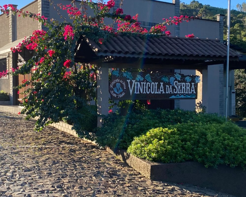 VINÍCOLA DA SERRA 01