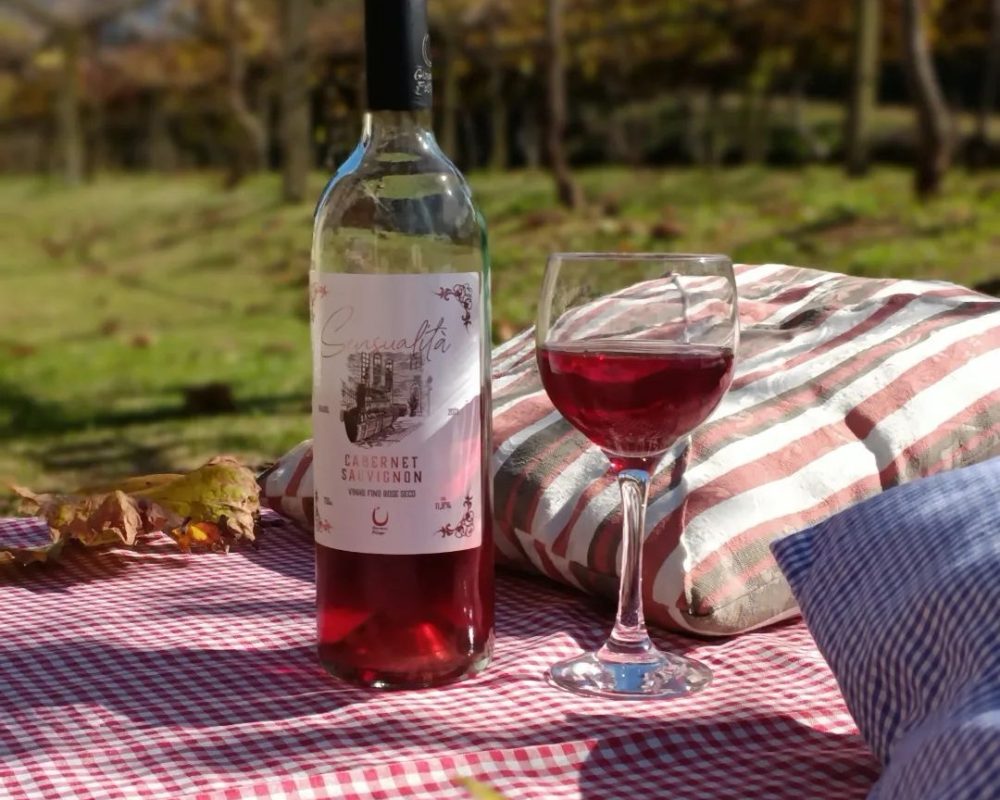 VINÍCOLA GIOVANNI FELIPPO 05