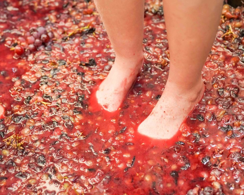 WhatsApp Image 2026-02-04 at 10.36.54