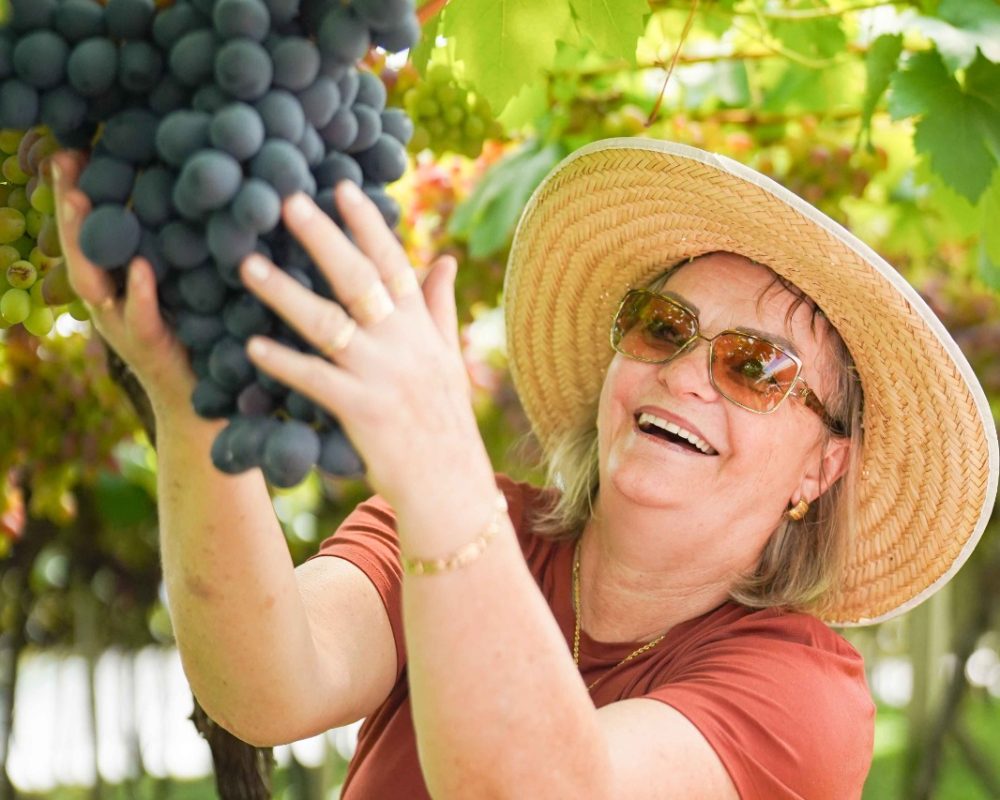 WhatsApp Image 2026-02-04 at 10.36.55