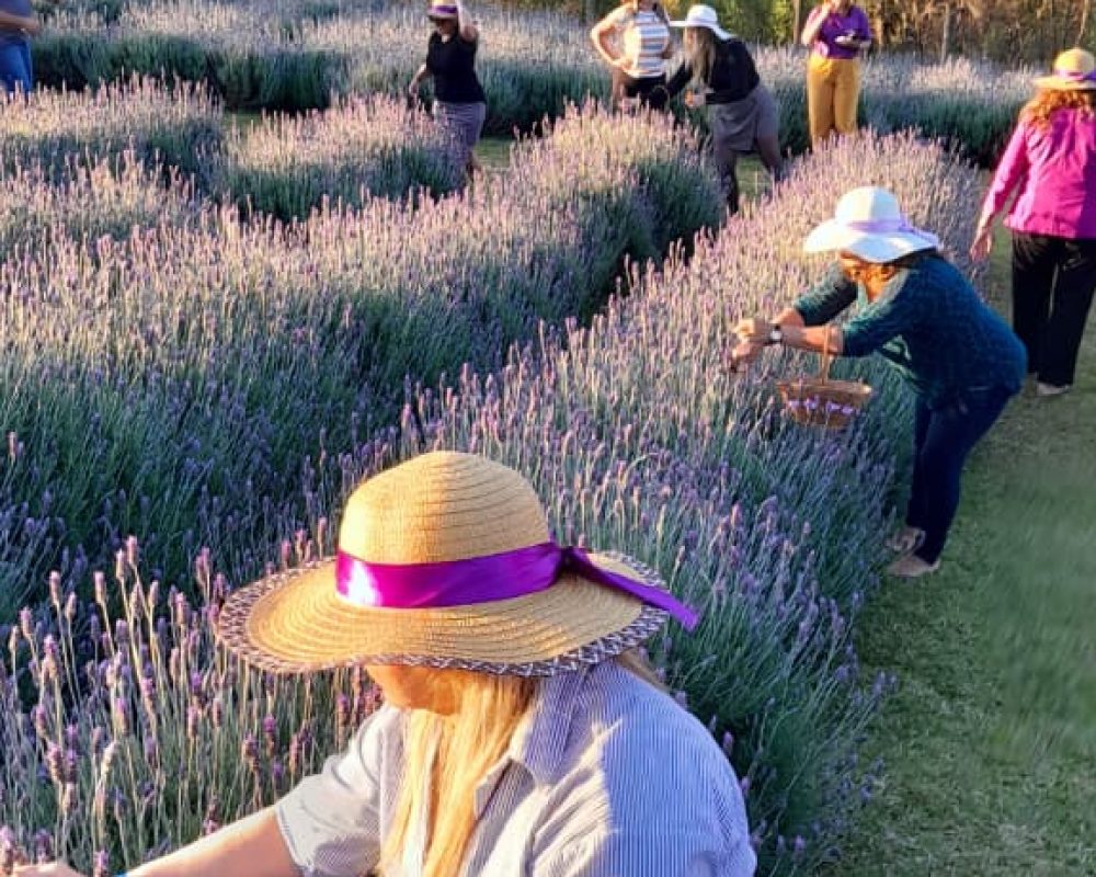 WhatsApp Image 2026-03-24 at 13.33.38