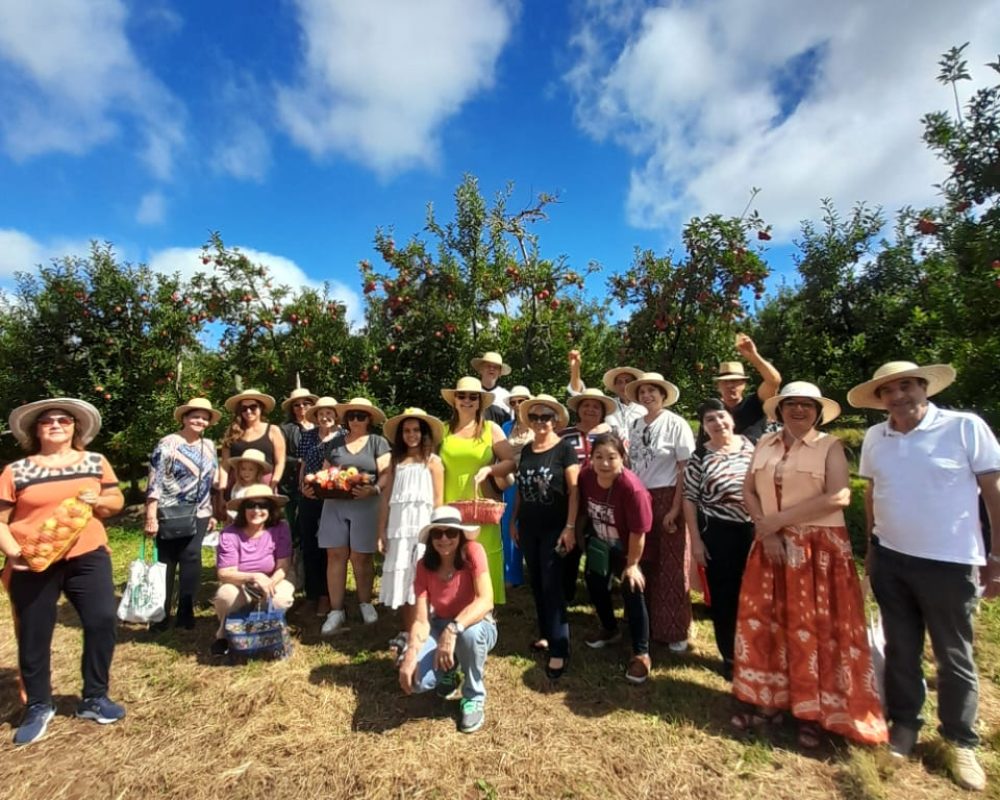 WhatsApp Image 2026-03-24 at 14.49.48 (1)