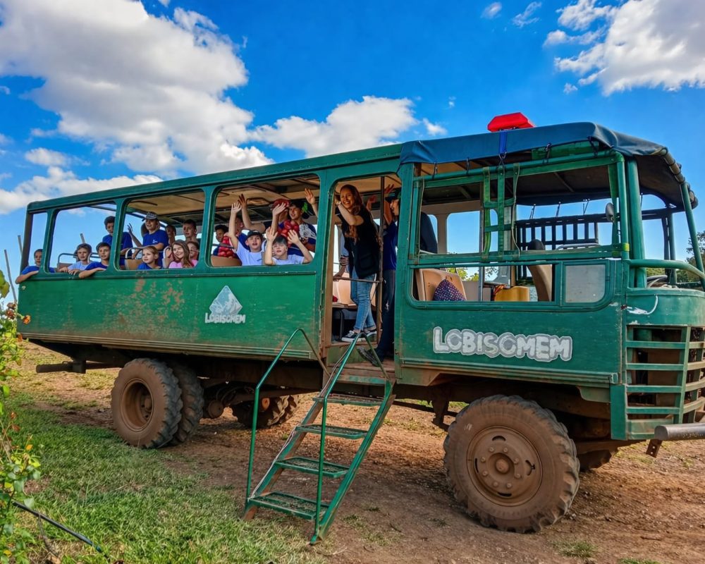 WhatsApp Image 2026-04-01 at 08.00.10